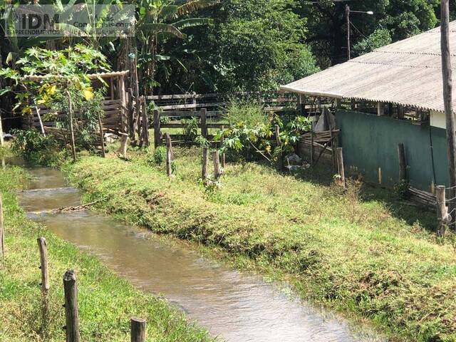 #FAZ1198 - Fazendas Produtoras para Venda em Paraisópolis - MG - 3