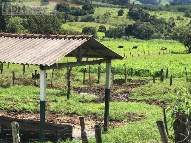 Fazendas Produtoras para Venda em Paraisópolis - 5