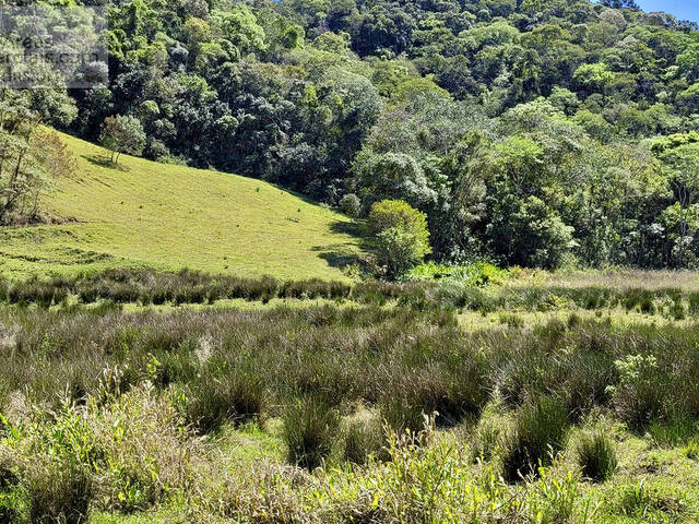 #FAZ1145G - Fazenda para Empreendimento para Venda em Santo Antônio do Pinhal - SP