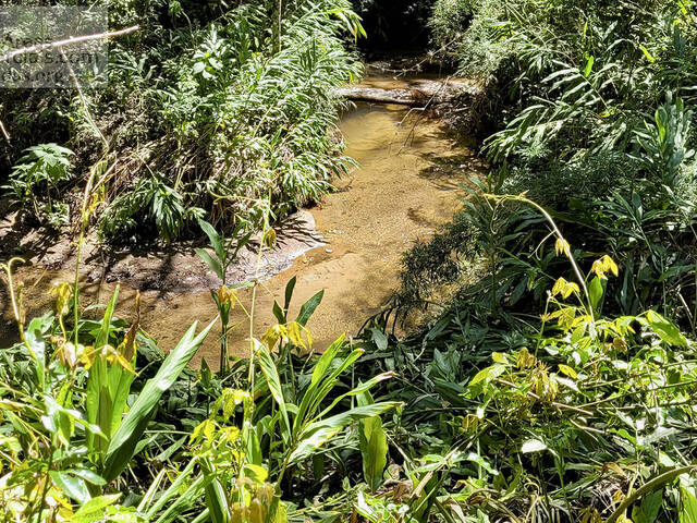 #FAZ1145G - Fazenda para Empreendimento para Venda em Santo Antônio do Pinhal - SP - 3