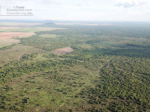 #FAZ12727 - Fazendas Produtoras para Venda em Santa Terezinha - MT - 1