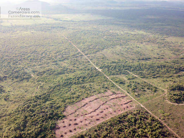 #FAZ12727 - Fazendas Produtoras para Venda em Santa Terezinha - MT - 2