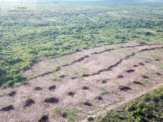 #FAZ12727 - Fazendas Produtoras para Venda em Santa Terezinha - MT - 3