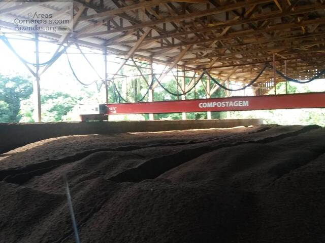 #FAZ12273 - Fazendas Produtoras para Venda em Picada Café - RS - 3