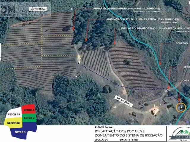 #FAZ12276 - Fazendas Produtoras para Venda em Carvalhos - MG - 3