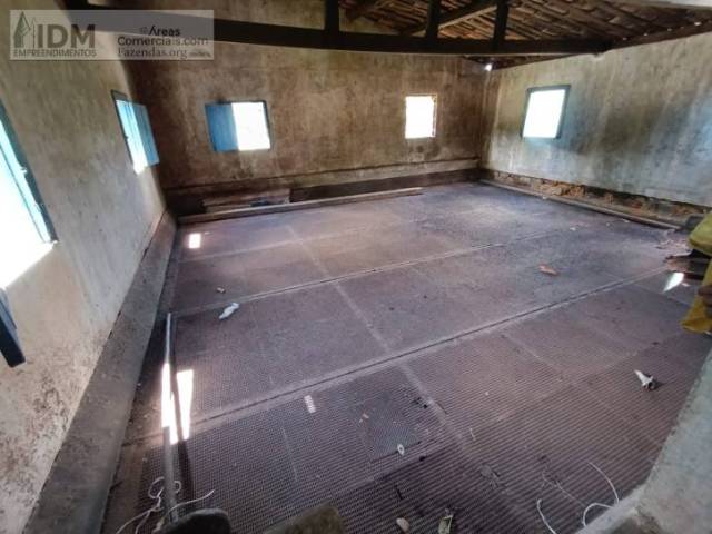 #IDM275 - Fazendas Produtoras para Venda em Ilhéus - BA - 1