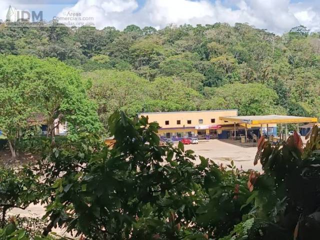 Fazendas Produtoras para Venda em Ilhéus - 4